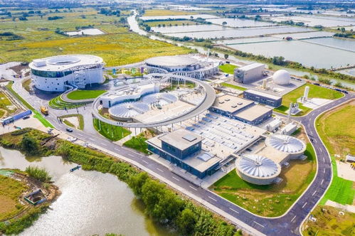 污水處理廠升級打造為資源循環工廠 宜興概念廠獲 全球創新大獎